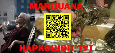 мдпв Гусев