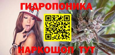 МДПВ Гусь-Хрустальный