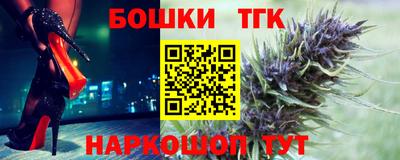 мдпв Гусев