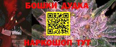 мдпв Гусев