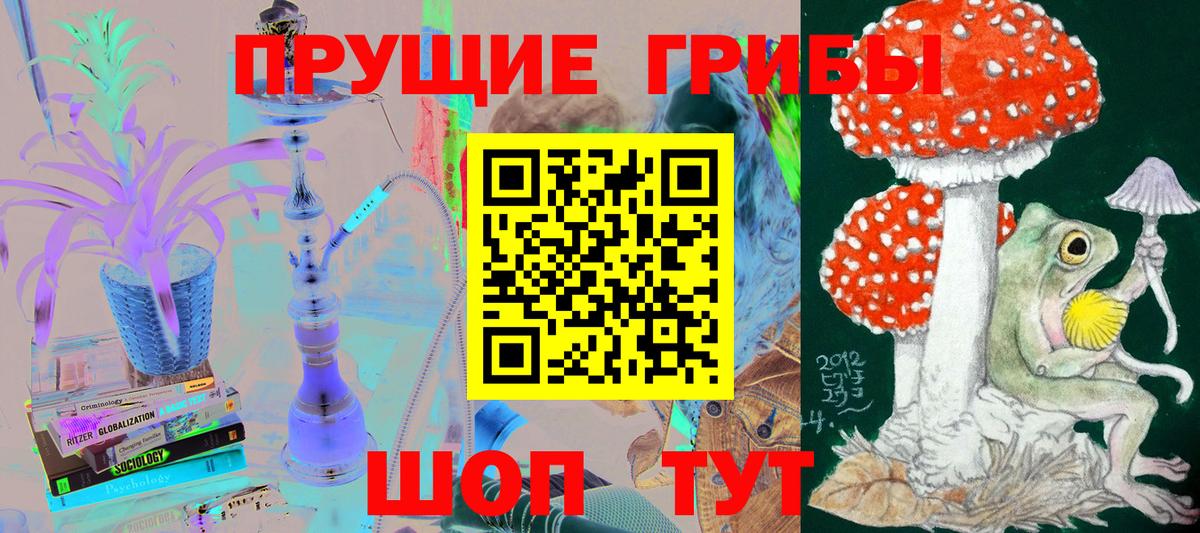 Галлюциногенные грибы Cubensis  Галлюциногенные грибы прущие грибы  Шахты  Вход с VPN 